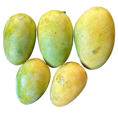 Mangoes
